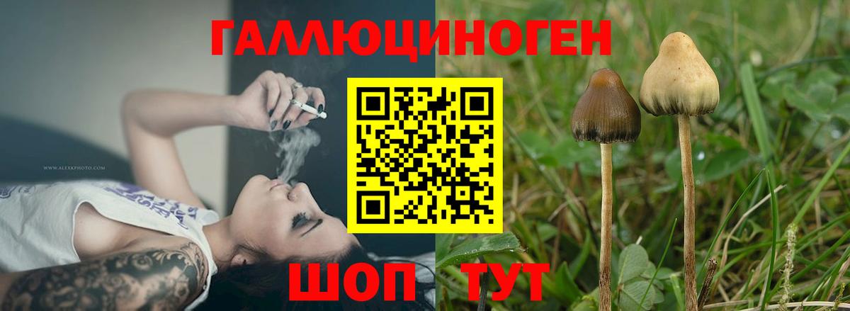 Псилоцибиновые грибы MAGIC MUSHROOMS  Галлюциногенные грибы MAGIC MUSHROOMS  Вход с VPN  Видное 